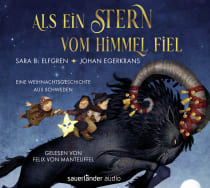 Hörbuchcover von Als ein Stern vom Himmel fiel: Eine Weihnachtsgeschichte aus Schweden
