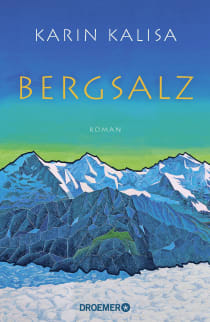 Buchcover von Mountain Salt: Roman