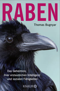 Buchcover von Raben: Das Geheimnis ihrer erstaunlichen Intelligenz und sozialen Fähigkeiten von Thomas Bugnyar