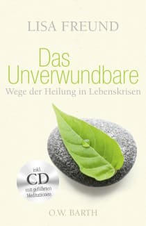 Buchcover von The Invulnerable 
Paths to Healing in Life’s Crises: Wege der Heilung in Lebenskrisen