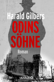 Buchcover von Odin's Sons: Roman