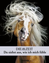 Buchcover von Die Zeit. Du siehst aus, wie ich mich fühle: Die besten Fotos und Geschichten aus der beliebten Serie von Malin Schulz