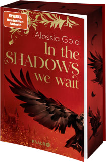 Buchcover von In the Shadows we wait: Roman von Alessia Gold