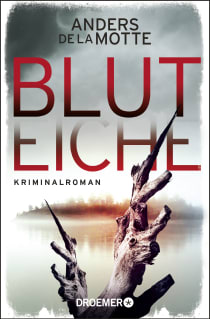 Buchcover von Bluteiche: Kriminalroman von Anders de la Motte