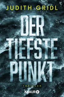 Buchcover von Der tiefste Punkt: Thriller von Judith Gridl