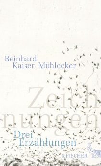 Buchcover von Zeichnungen: Drei Erzählungen