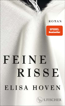 Buchcover von Feine Risse: Roman