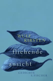 Buchcover von fleeing view: Gedichte