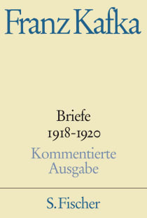 Buchcover von Briefe 1918-1920: Band 4 von Franz Kafka