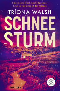 Buchcover von Schneesturm: Thriller von Tríona Walsh