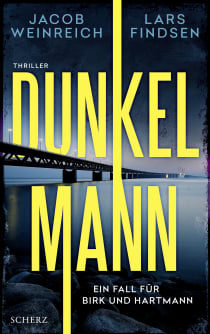 Buchcover von Dunkelmann: Thriller