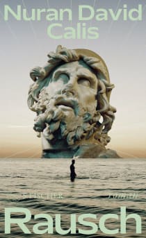 Buchcover von Rausch: Roman von Nuran David Calis