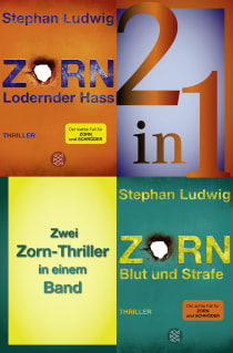Buchcover von Lodernder Hass / Blut und Strafe – Zwei Zorn-Thriller in einem Band von Stephan Ludwig