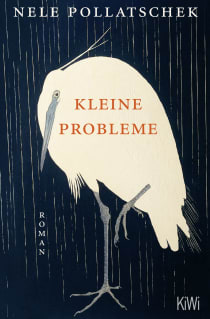 Buchcover von Kleine Probleme: Roman von Nele Pollatschek