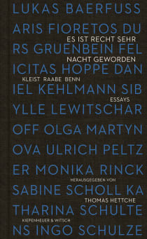 Buchcover von Verily, Night Has Fallen. Kleist, Raabe, Benn, and Dread: Kleist, Raabe, Benn. Essays 