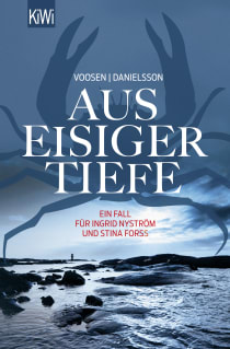 Buchcover von From the Icy Depths (Nyström-Forss 3): Ein Fall für Ingrid Nyström und Stina Forss