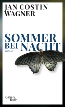 Buchcover von Sommer bei Nacht: Roman von Jan Costin Wagner