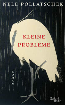Buchcover von Minor Problems: Roman