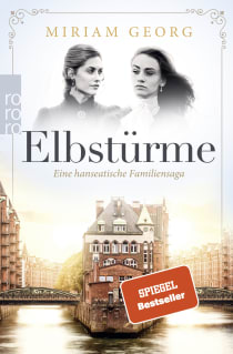 Buchcover von Elbstürme