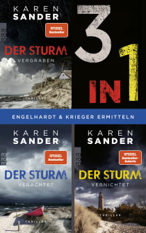 Buchcover von Der Sturm: Die Trilogie (3in1 Bundle) von Karen Sander