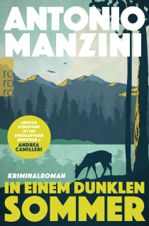 Buchcover von In einem dunklen Sommer von Antonio Manzini