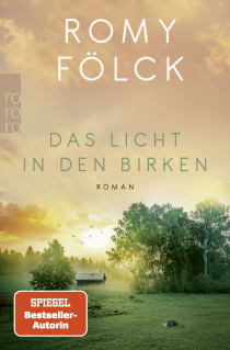 Buchcover von Das Licht in den Birken