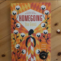 Yaa Gyasi, Homegoing