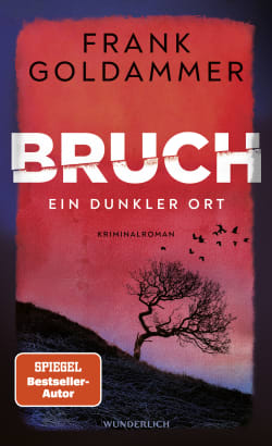 Bruch: Ein dunkler Ort