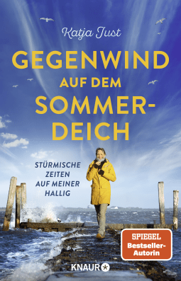 Gegenwind auf dem Sommerdeich