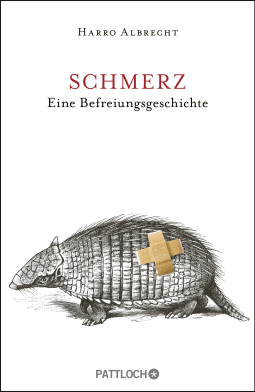 Buchcover von Pain: Eine Befreiungsgeschichte von Harro Albrecht