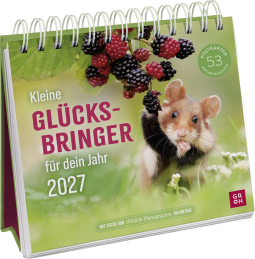 Produktbild von Postkartenkalender 2027: Kleine Glücksbringer für dein Jahr von Julian Rad