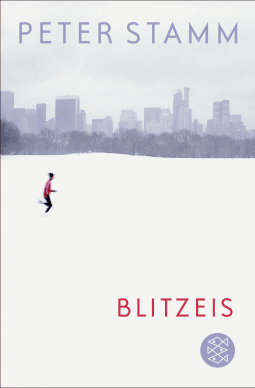 Buchcover von Blitzeis: Erzählungen von Peter Stamm