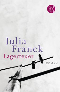 Buchcover von Lagerfeuer: Roman von Julia Franck