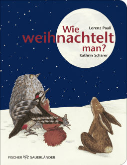 Buchcover von Wie weihnachtelt man?  von Lorenz Pauli