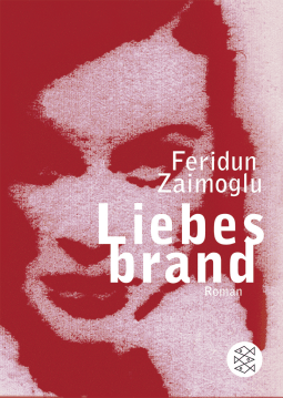 Buchcover von Liebesbrand: Roman von Feridun Zaimoglu