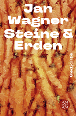 Buchcover von Steine & Erden: Gedichte von Jan Wagner