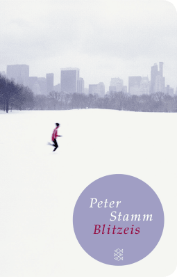 Buchcover von Blitzeis: Erzählungen von Peter Stamm