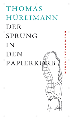 Buchcover von Der Sprung in den Papierkorb: Geschichten, Gedanken und Notizen am Rand von Thomas Hürlimann