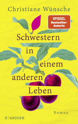 Buchcover von Schwestern in einem anderen Leben: Roman von Christiane Wünsche