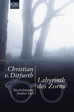 Buchcover von Labyrinth des Zorns: Stachelmanns fünfter Fall von Christian von Ditfurth