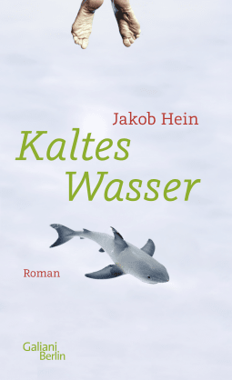 Buchcover von Cold Water: Roman von Jakob Hein