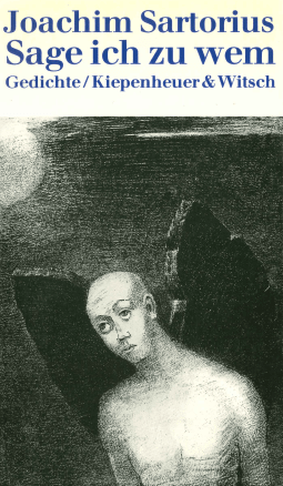 Buchcover von Sage ich zu wem: Gedichte von Joachim Sartorius