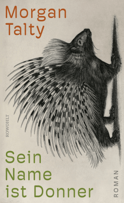 Buchcover von Sein Name ist Donner von Morgan Talty