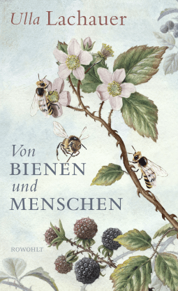OF BEES AND HUMANS: A EUROPEAN JOURNEY