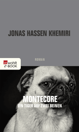 Buchcover von Montecore, ein Tiger auf zwei Beinen von Jonas Hassen Khemiri