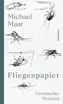 Buchcover von Fliegenpapier: Vermischte Notizen von Michael Maar