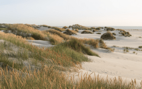 Foto einer Dünenlandschaft