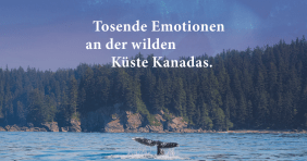 Die Schwanzflosse eines Wals ragt aus dem Wasser vor einer dichten Waldküste. Text: «Tosende Emotionen an der wilden Küste Kanadas.».