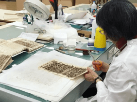 Frau restauriert Textfragmente