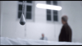 114 Ehrlich Beitrag 7